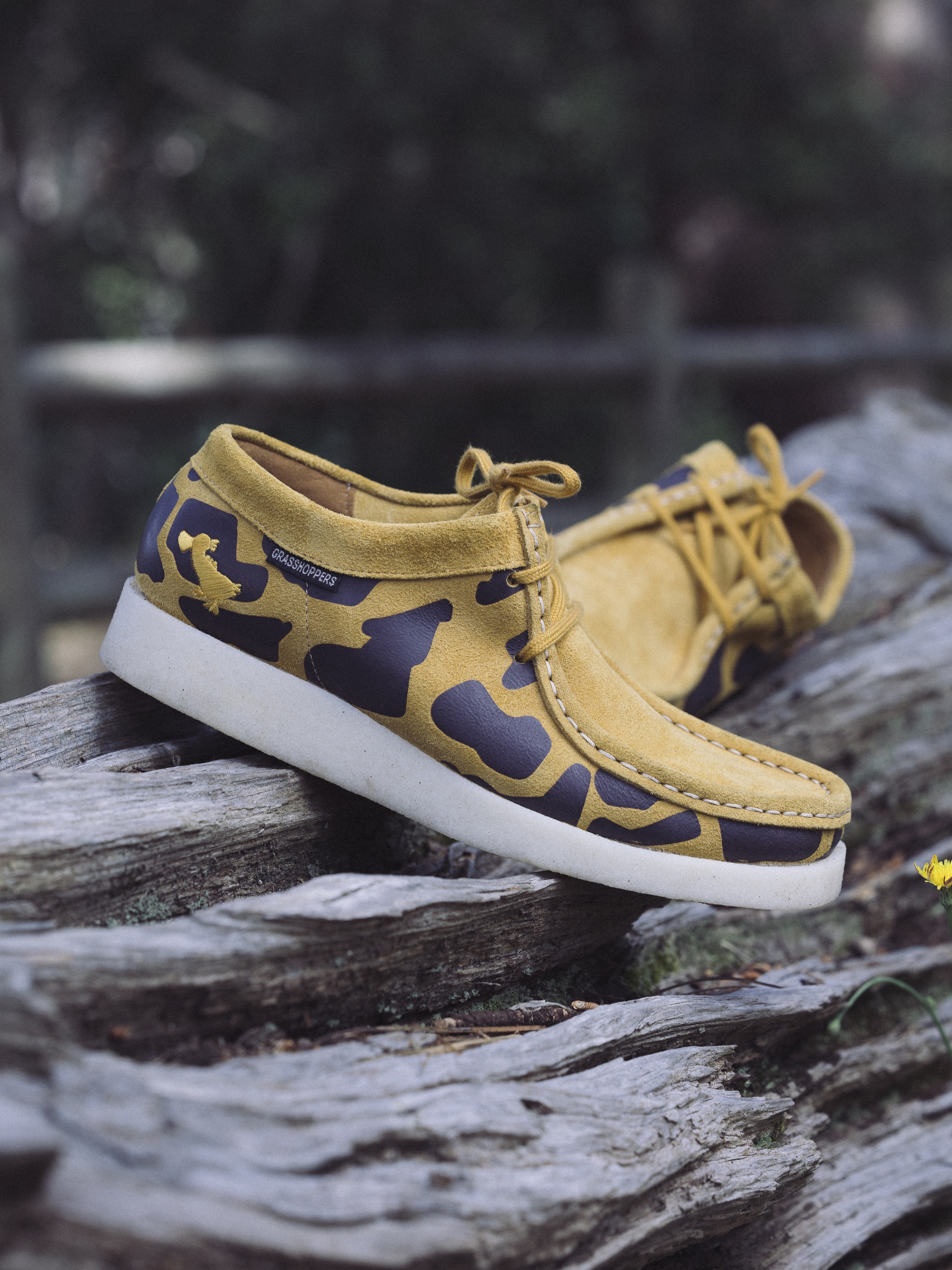 An “Archive” Collaboration With “Grasshoppers” Designed By Ziyaad Samsodien