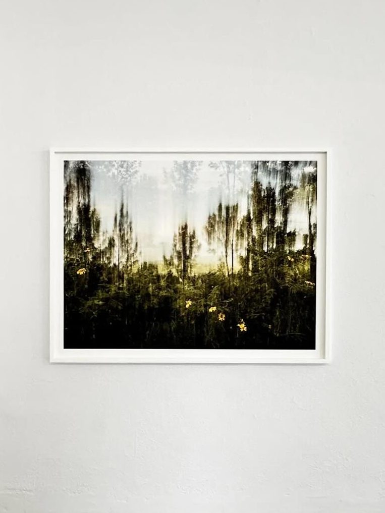 #LAChats With Francesco Ozzola About Suburbia Contemporary’s Impact On Art
