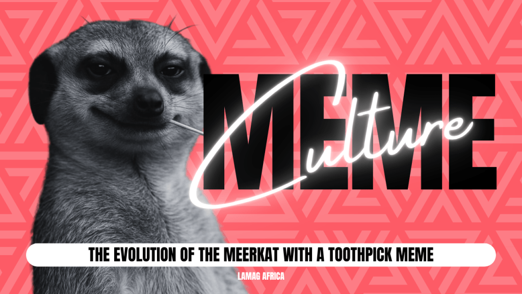 [CULTURE] The Evolution Of The Meerkat With A Toothpick&nbsp;Meme